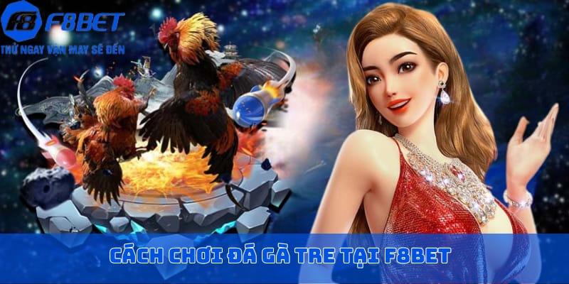 Cách chơi đá gà tre tại F8BET