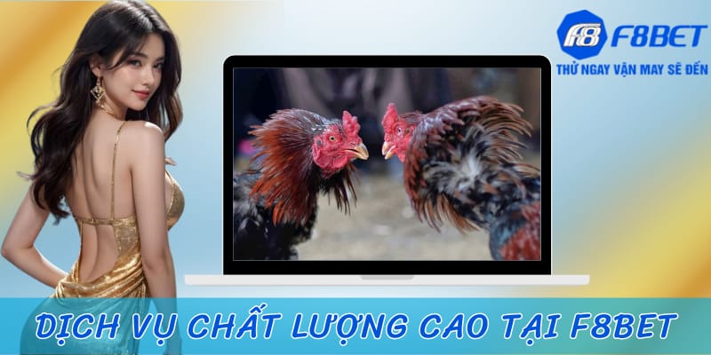 Dịch vụ chất lượng cao và uy tín nhất tại sảnh đá gà trực tiếp