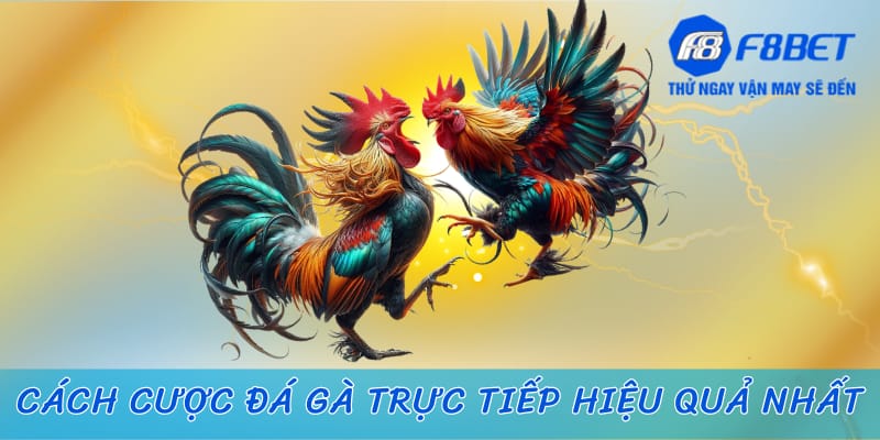 Hướng dẫn cách cược đá gà trực tiếp để tối đa hóa lợi nhuận