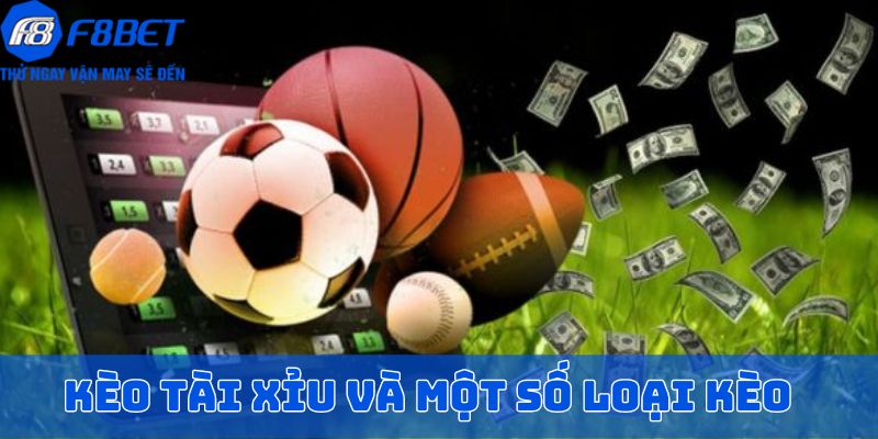 Cách tính tiền thắng cược tại nhà cái F8BET