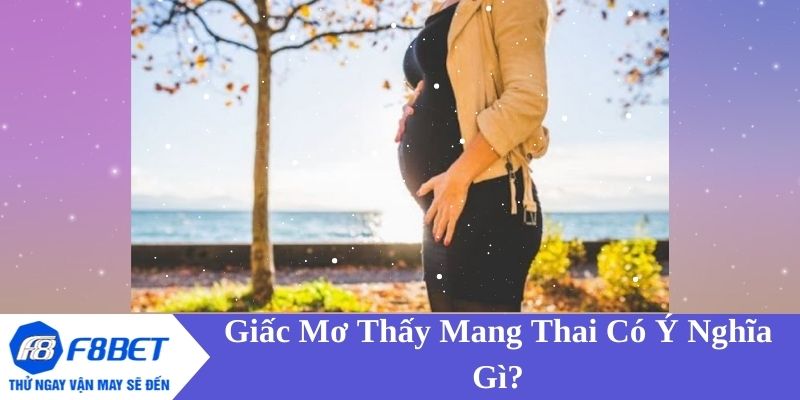 Nằm mơ thấy có bầu - Đề cập các ý nghĩa và điềm báo thực tế