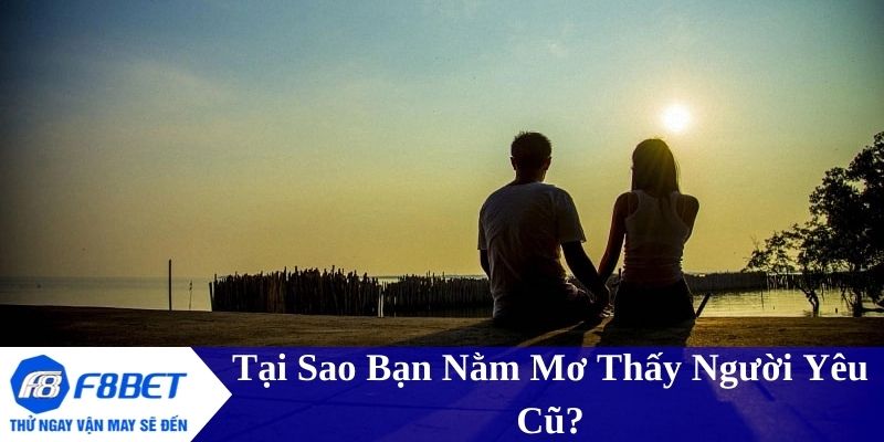 Nguyên nhân bạn nằm mơ thấy người yêu cũ và ý nghĩa đằng sau