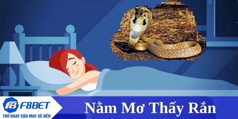 nằm mơ thấy rắn