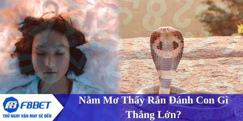 Con số may mắn dựa trên các trường hợp nằm mơ thấy rắn - Gợi ý từ F8BET